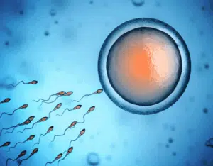 image of a number of sperm swimming towards the egg